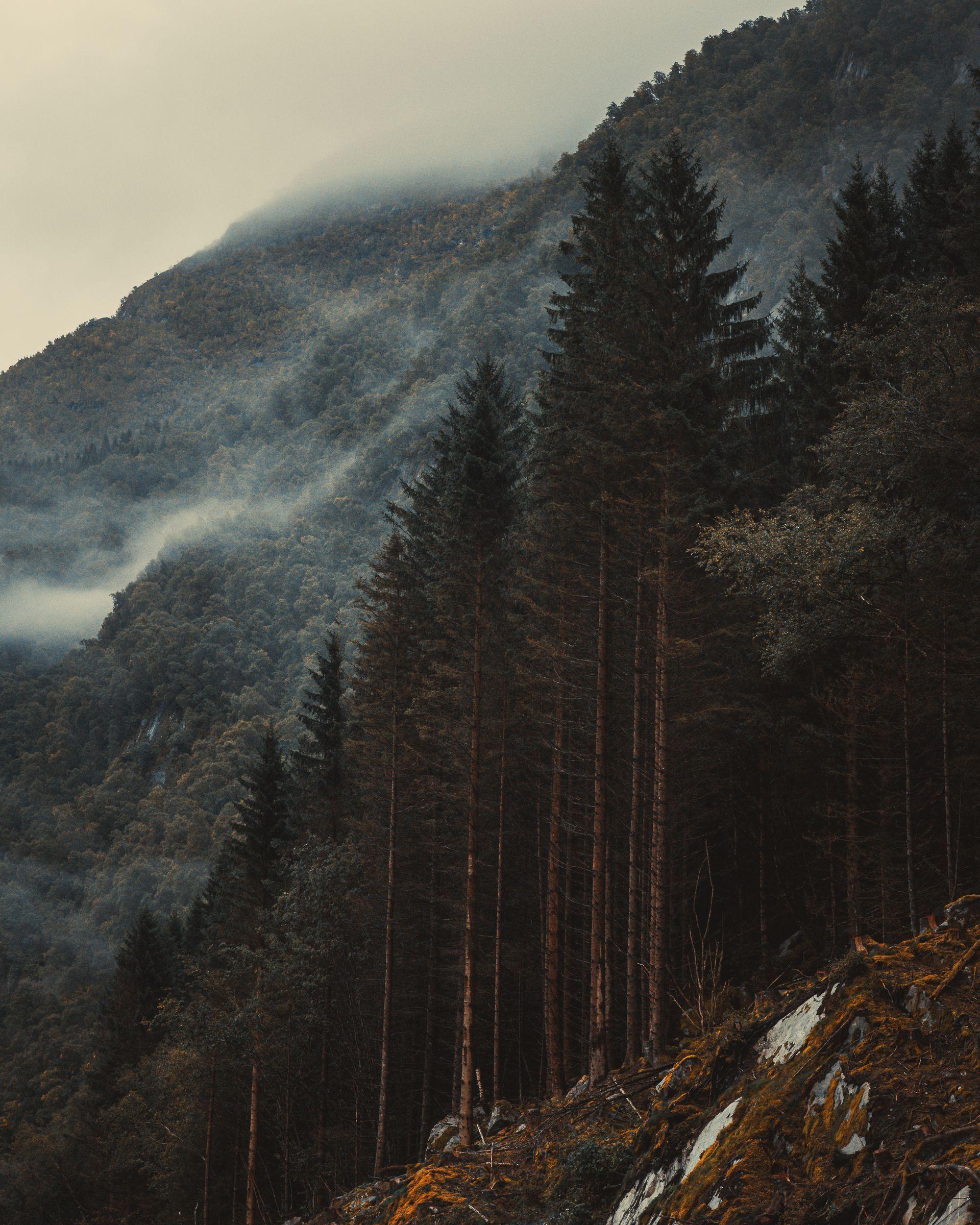 Bilder aus meiner privaten Sammlung von Freunden, Reisen und Natur 40