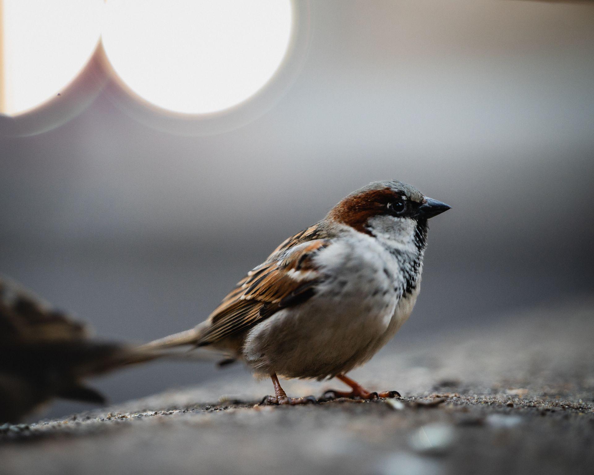 Bilder aus meiner privaten Sammlung von Freunden, Reisen und Natur 33