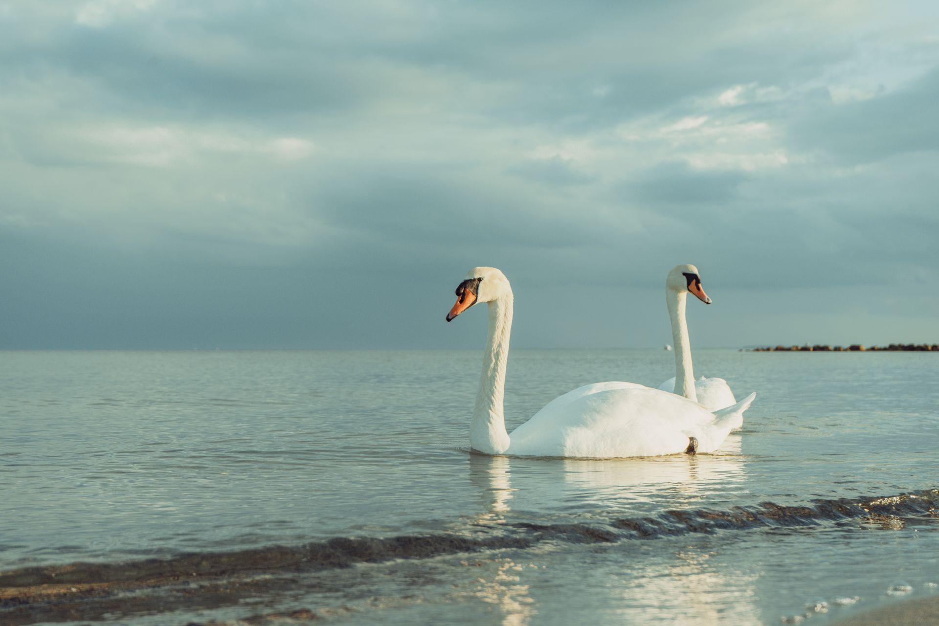 Bilder aus meiner privaten Sammlung von Freunden, Reisen und Natur 27