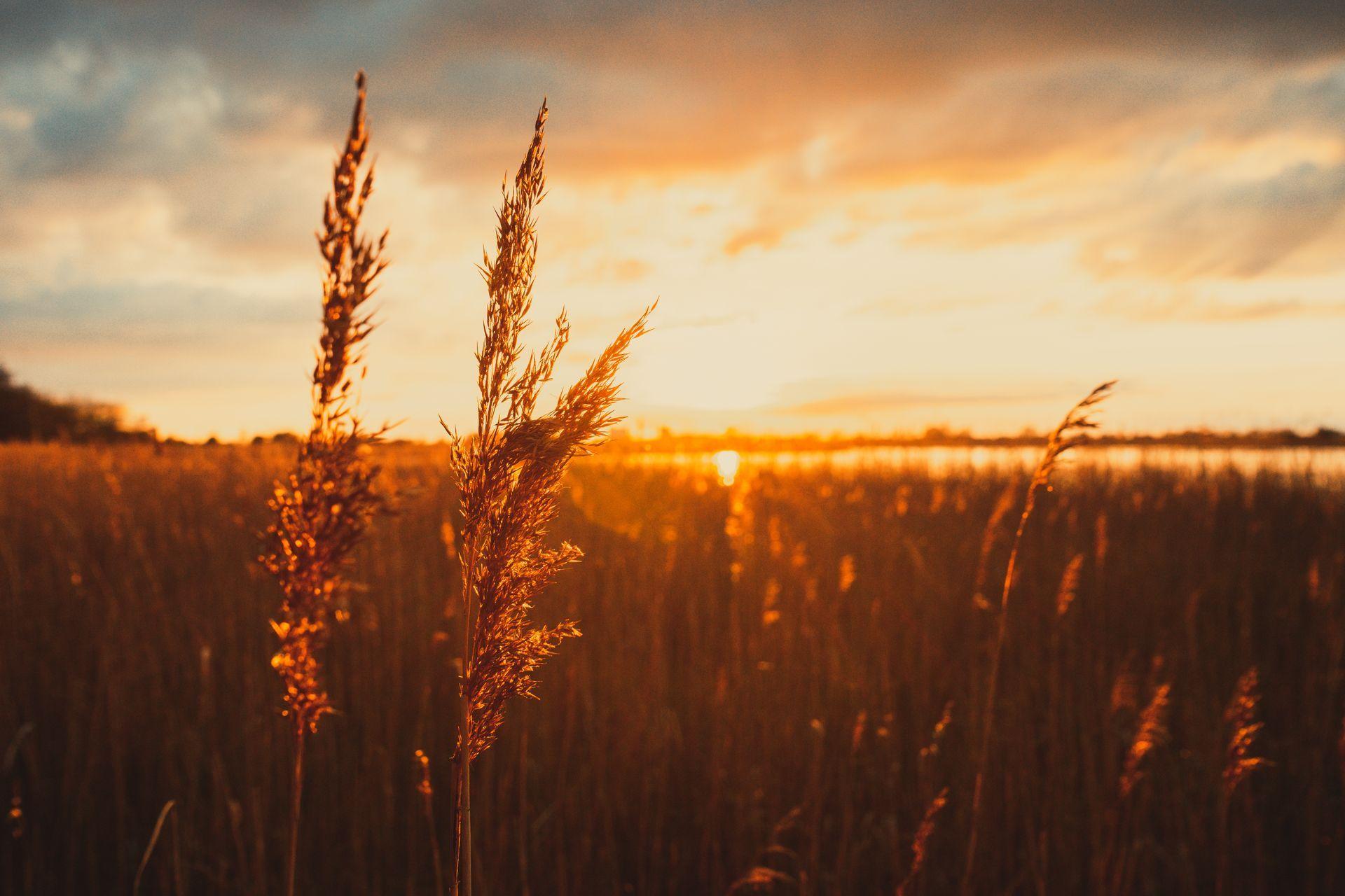 Bilder aus meiner privaten Sammlung von Freunden, Reisen und Natur 25
