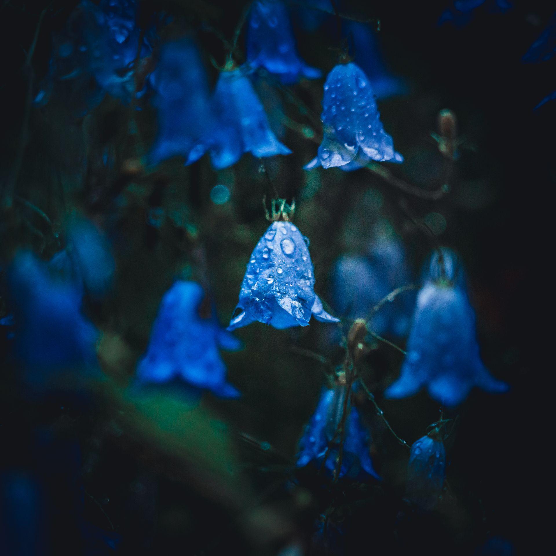 Bilder aus meiner privaten Sammlung von Freunden, Reisen und Natur 17