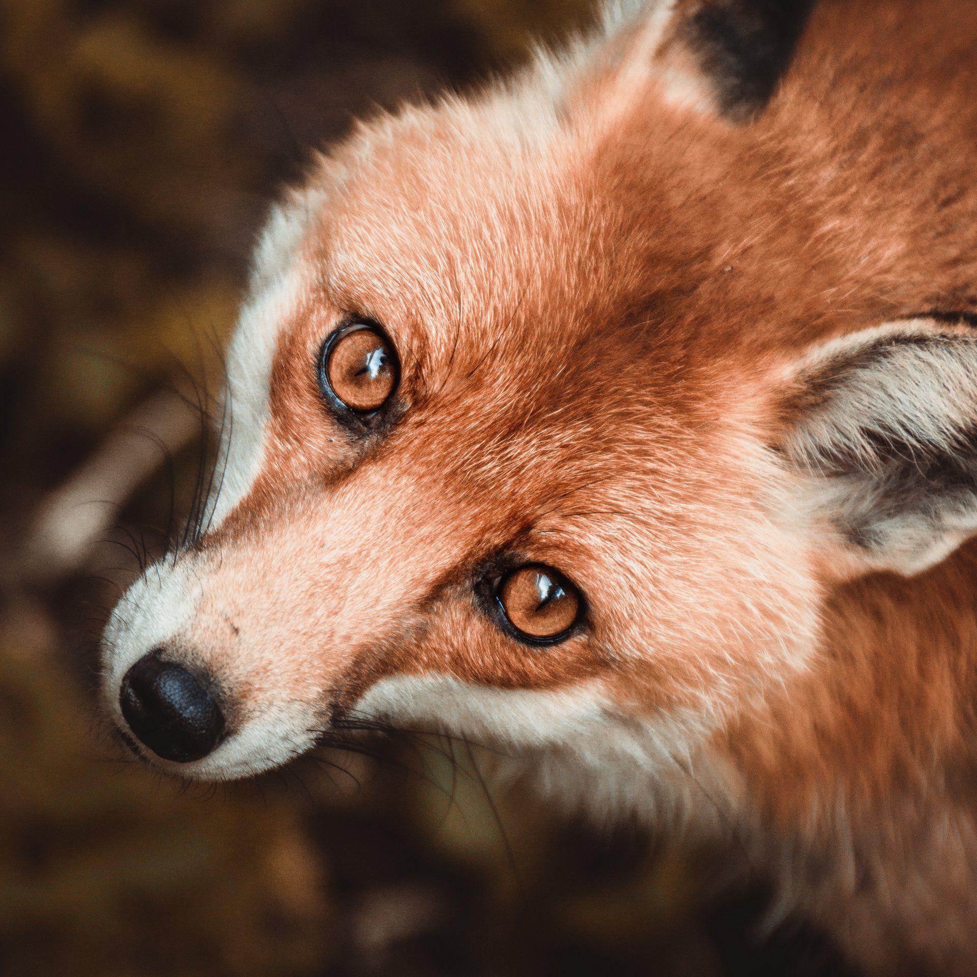 Bilder aus meiner privaten Sammlung von Freunden, Reisen und Natur 2