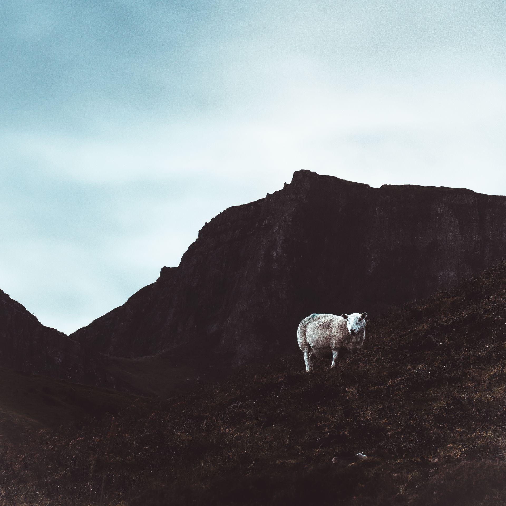 Bilder aus meiner privaten Sammlung von Freunden, Reisen und Natur 18