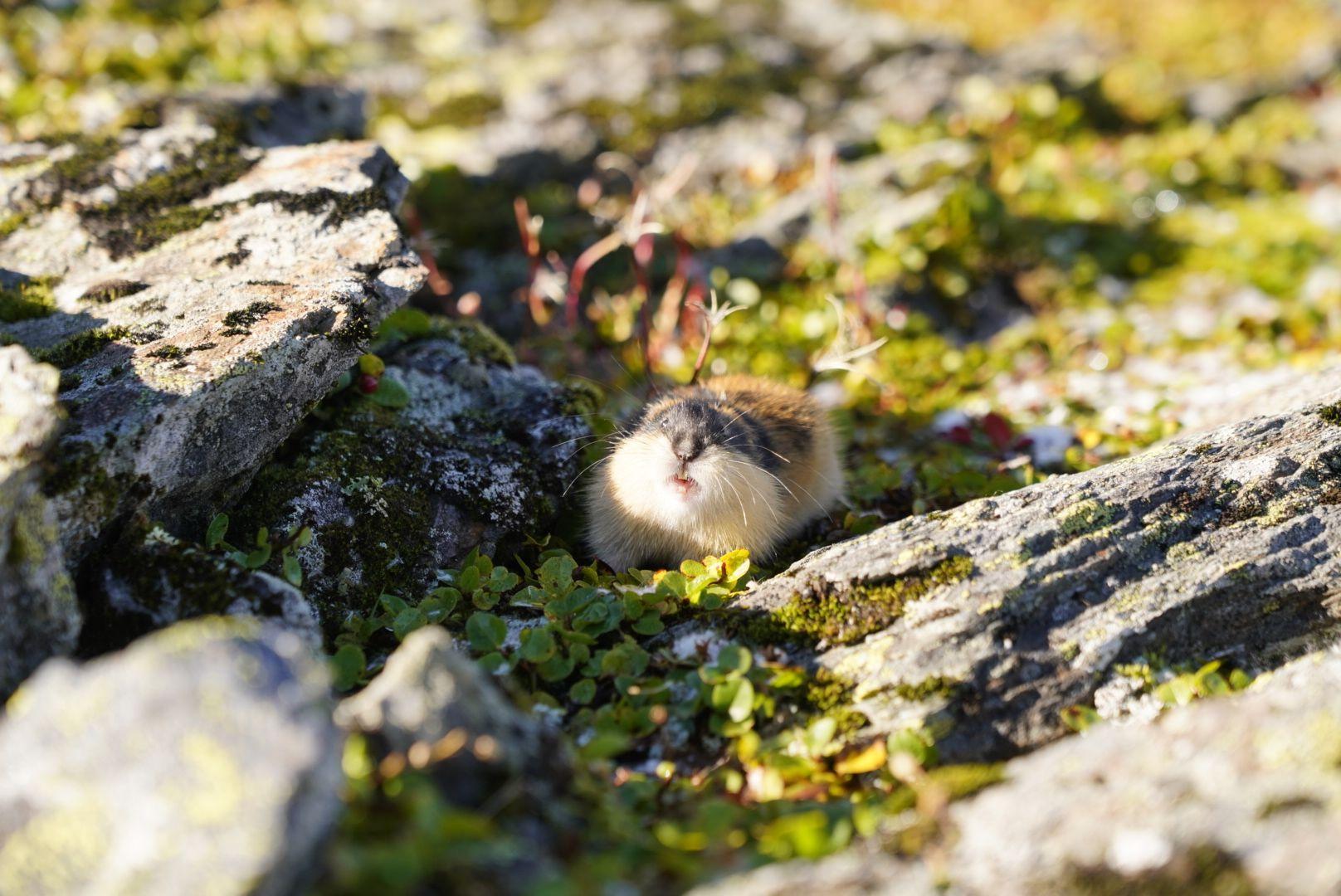 Norwegen 2024 - Teil I 1