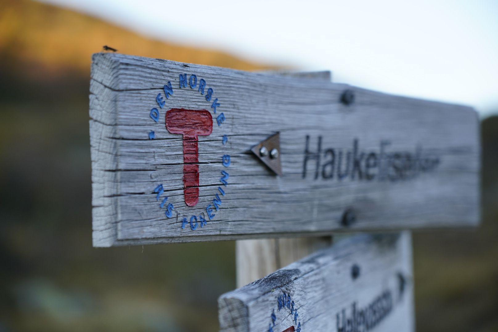 Norwegen 2024 - Teil I 2