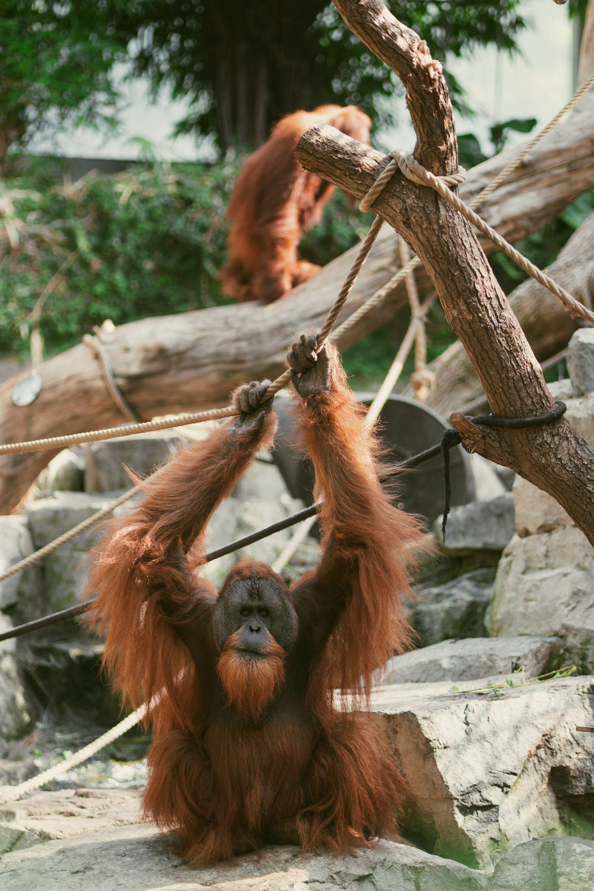 Bilder aus meiner privaten Sammlung von Freunden, Reisen und Natur 46