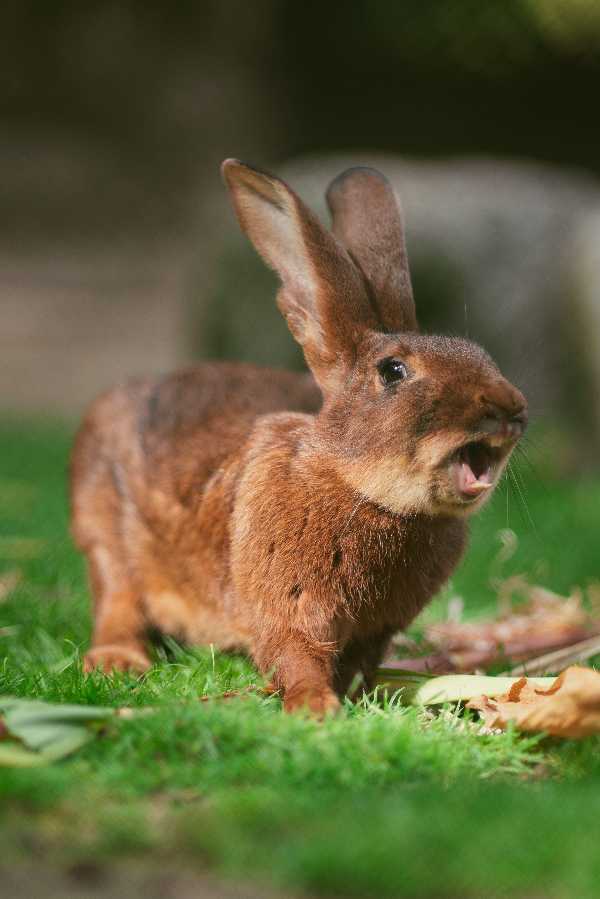 Bilder aus meiner privaten Sammlung von Freunden, Reisen und Natur 50